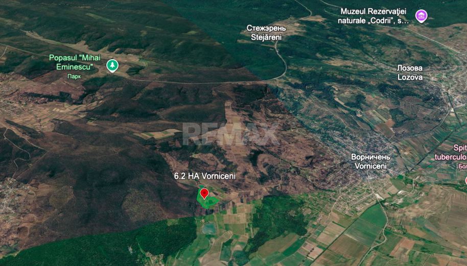 Teren de 6.2 Hectare cu Iaz propriu, lângă pădure – Vorniceni, Strășeni! - Poză 4