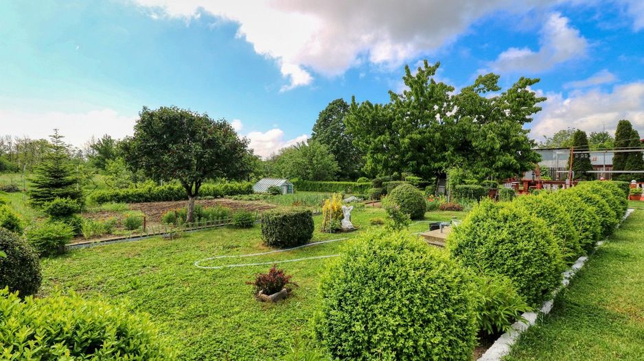 Oportunitate - Casă boierească  de poveste- 7000 mp teren - Poză 78