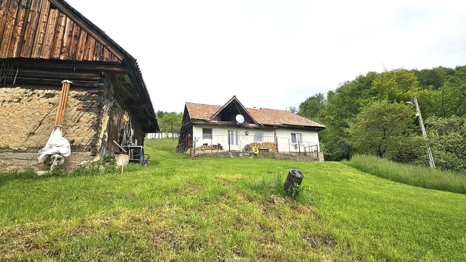 Domeniu Premium 1.7 Ha Intravilan Zărnești | Lizieră Pădure | Ideal Resort - Poză 7