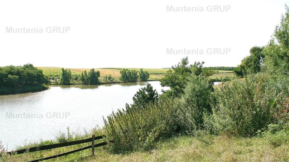 Belciugatele - laga Complexul Turistic Valea Iazurilor, 19720 mp. cu deschidere la balta - Poză 1