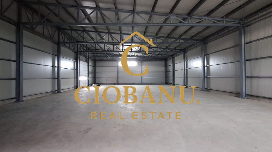 Hale industriale+Cladire de Birouri de inchiriat zona Aeroport - Poză 7