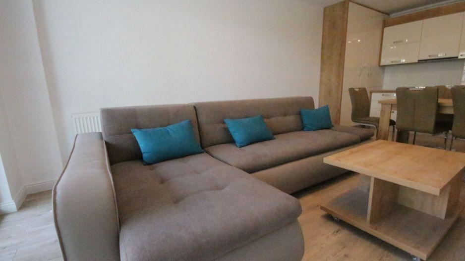 Apartament lux cu 3 camere de vanzare în zona Elisabetin - Poză 2