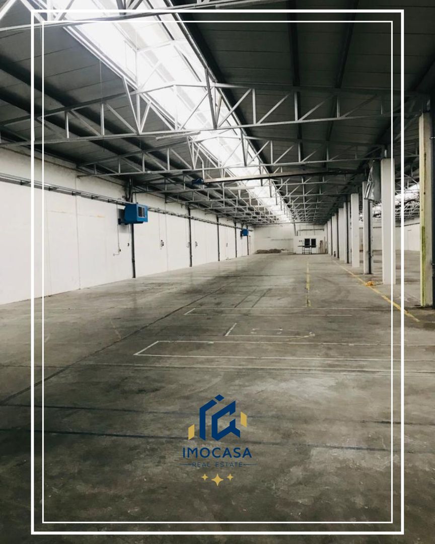 Hala de Inchiriat, comercial , industrial, logistica, Uta, Arad - Poză 2