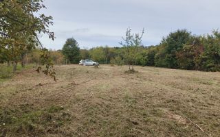 Teren intravilan de vânzare – 14 ari – Buzești – 25 minute de oraș - Poză 3