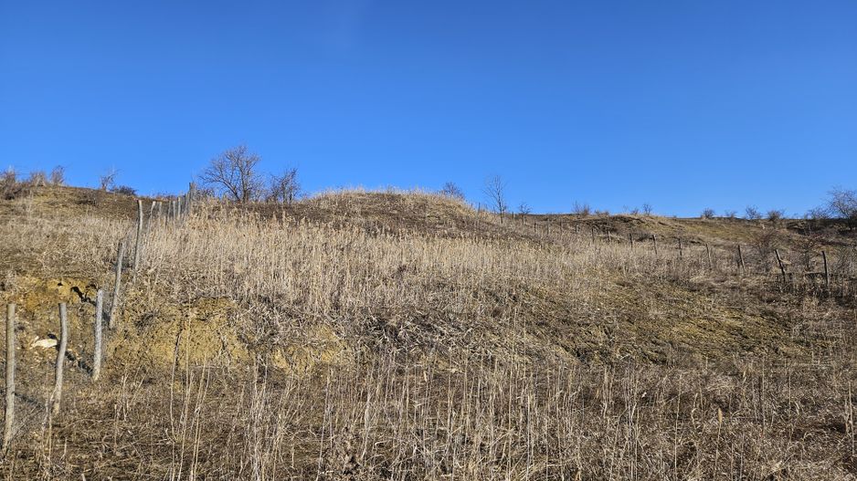 17 Euro/mp, Teren superb, 5.665 mp, Valea Fantelor-Iris - Poză 8