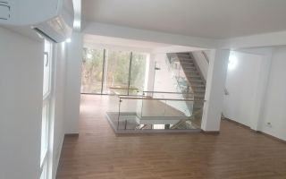 Hala spațioasă de închiriat în Sectorul 3, București - Poză 3