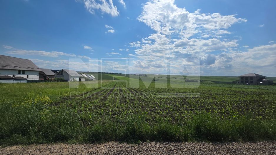 Teren intravilan 5.000 mp | Sfântul Ilie – UAT Șcheia | 425.000 € - Poză 4