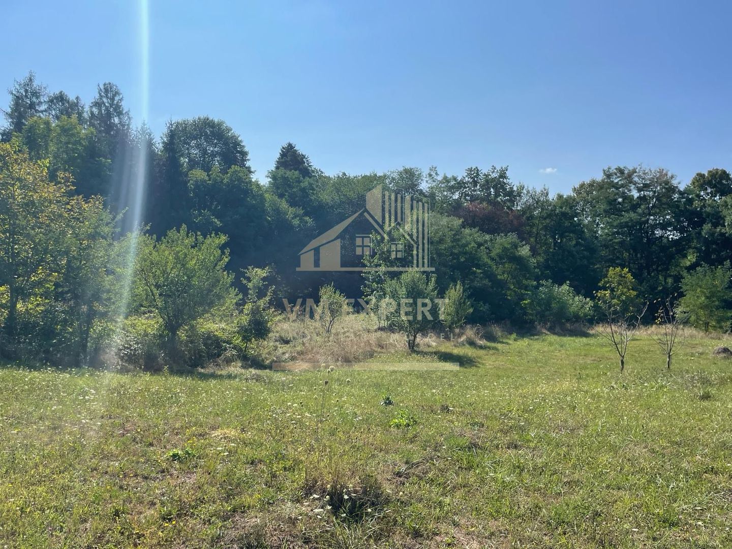 TEREN INTRAVILAN 1800 MP MIHAESTI ARGES COMISION 0 - Poză 10