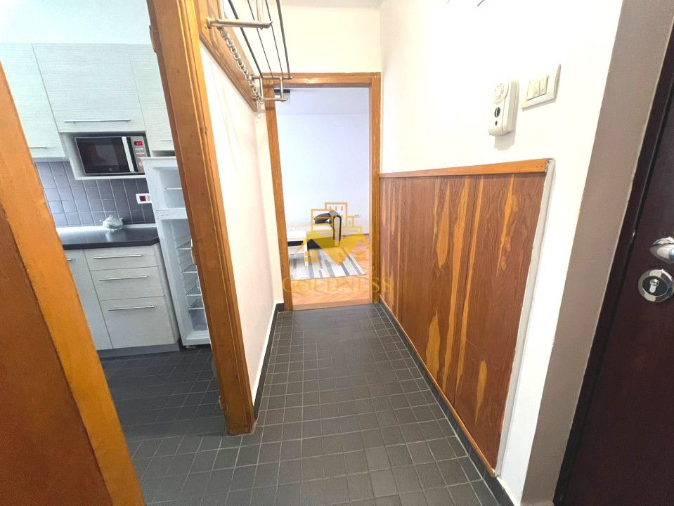 1 camera, modern, Piata Unirii, Eroilor, Centru, Opera Nationala - Poză 6