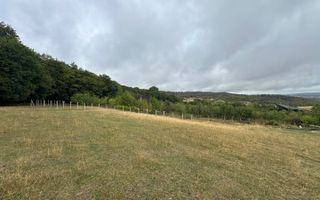 Teren langa Padure | Panorama Superba | Proiect Autorizat | Corusu - Poză 5