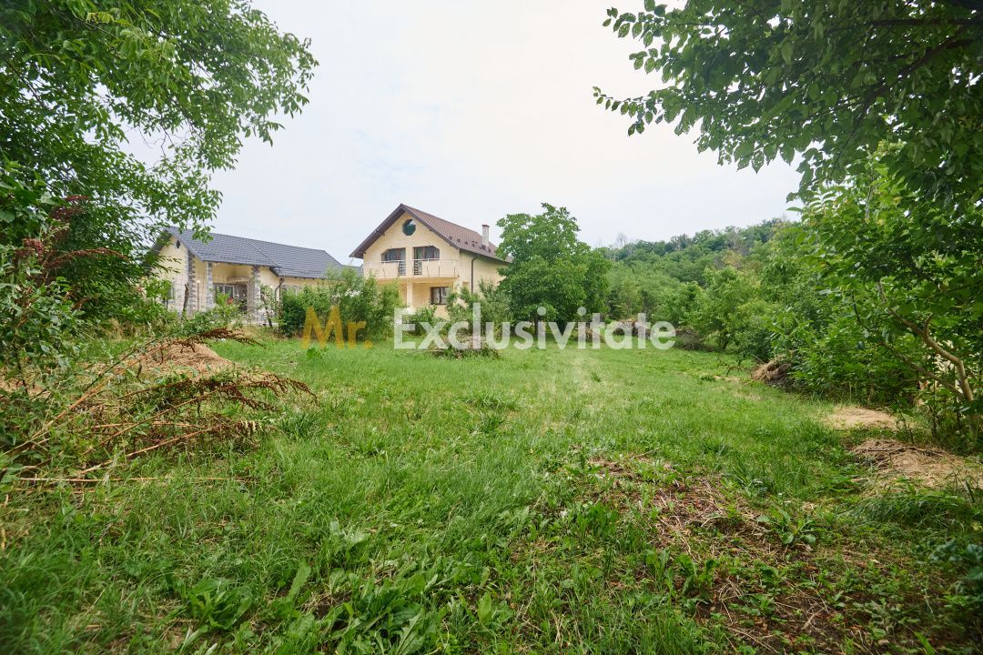 Teren 2240 mp intravilan + casa batraneasca Hintesti-Basangesti - Poză 5