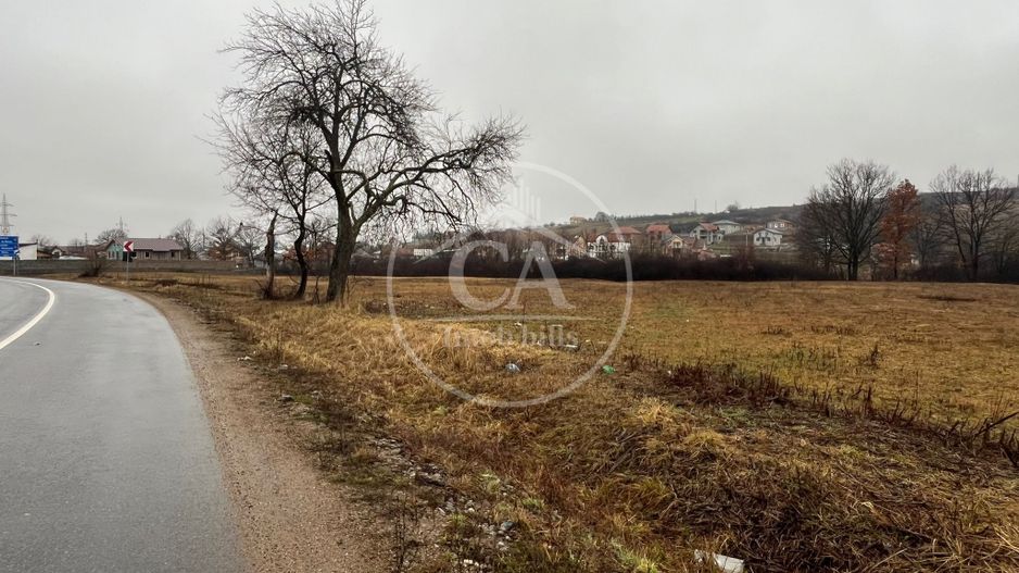 Teren intravilan de vanzare in Beiuș, Bihor - Poză 2