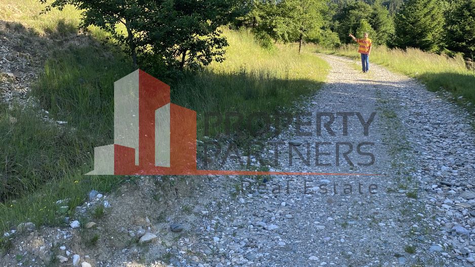 Teren 14400 mp la iesire din Rasnov inspre Pârâul Rece-Trei Brazi - Poză 5