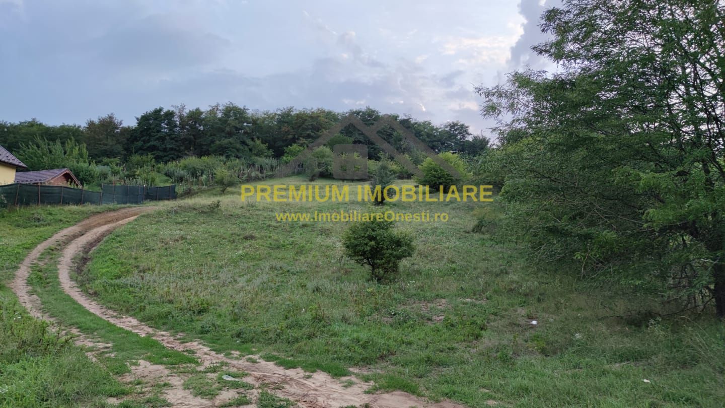 Teren de vanzare Onesti 4000mp - Poză 4