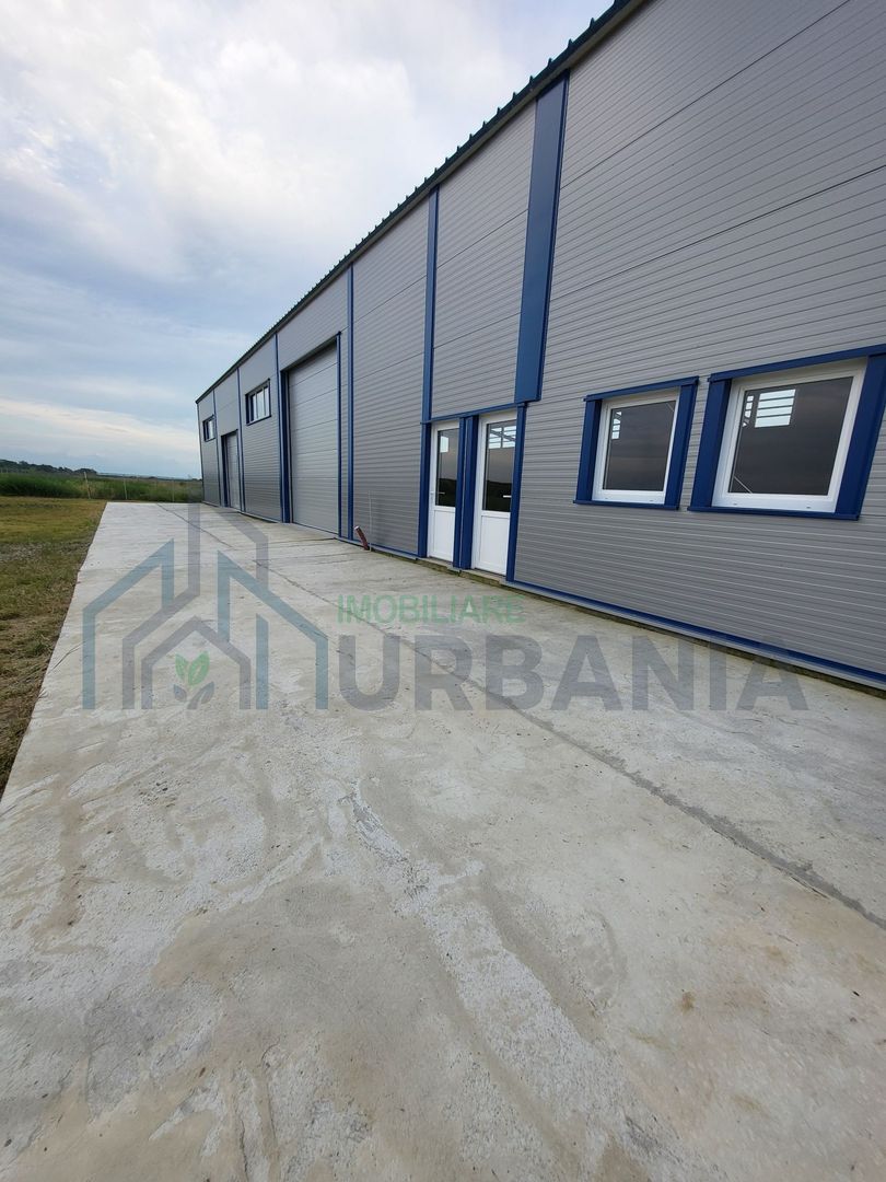 Hală de vânzare, 300 mp, teren 800 mp + 2300 mp industrial, Tomesti - Poză 6