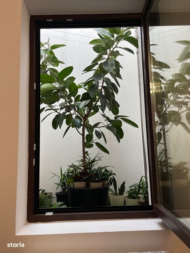 Vila  Centrul Bucurestiului - Parcul Carol - Poză 10