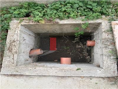 Vanzare  Vila  Pipera - Poză 2