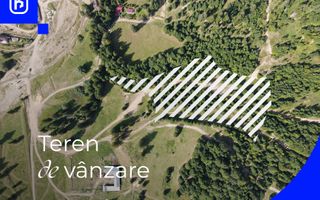 Teren - Voronet | Gura Humorului | BUCOVINA - Poză 8