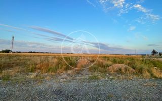 Teren intravilan de inchiriat in Nojorid, Bihor - Poză 4