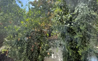 Apartament 2 camere de închiriat — Bd. Dimitrie Cantemir, Sector 4 - Poză 29