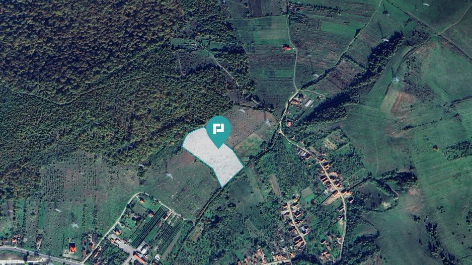 Teren fâneaţă lângă pădure - Hunedoara - Poză 1