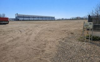 Teren 4.000 mp – Letea Veche - Poză 3