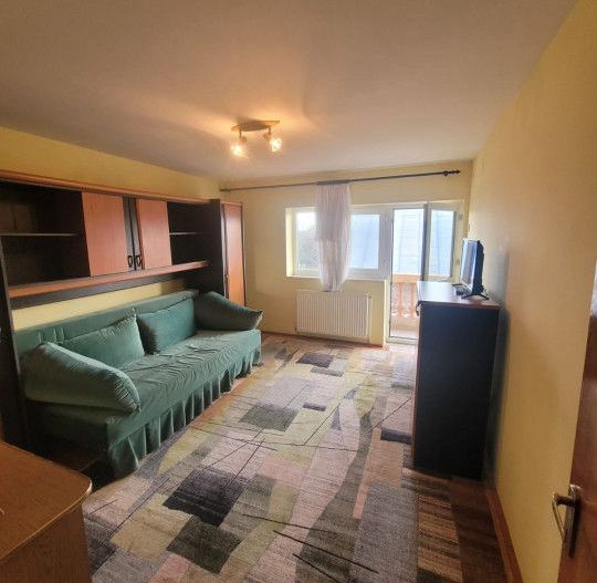 Inchiriere Vila Pitesti, Prundu Mic - Poză 19