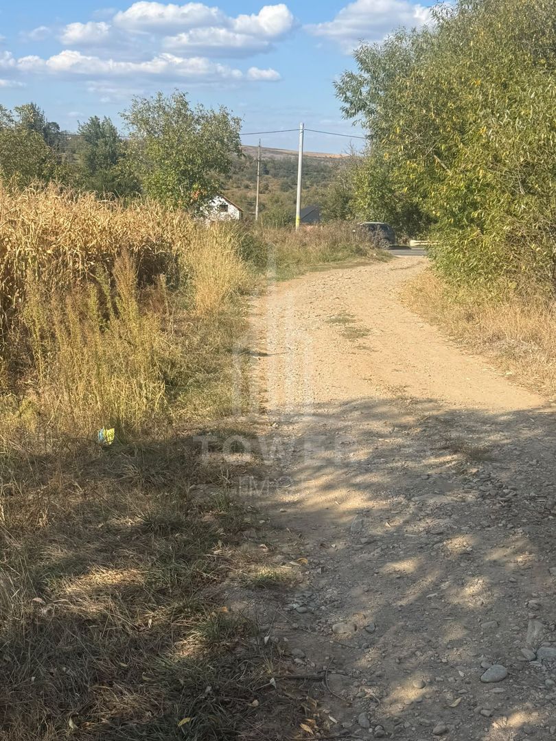 Teren 2500 de vanzare - Daia - Poză 3