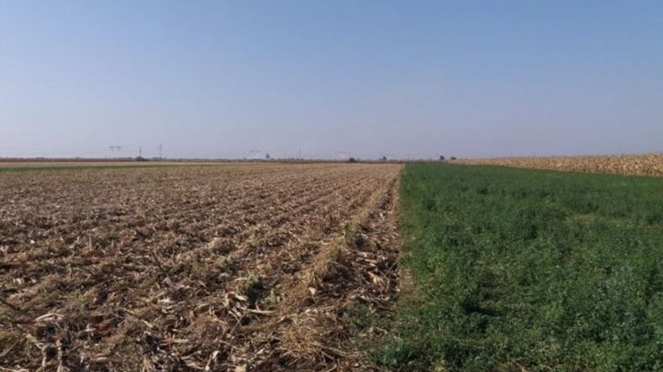 Investitie!Intravilan 55 ari capat Paulesti ( Intrare Ambud), 3.6 mf - Poză 4