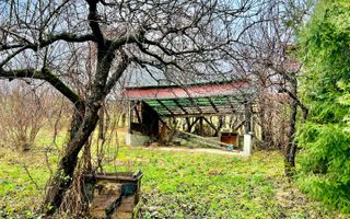 Casa de vanzare  in Talmacel-Teren 4000 mp cu livada+garaj - Poză 12