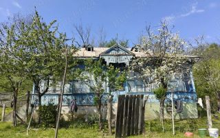 CASA LA 20 KM DE CRAIOVA CU 10000 MP. TEREN - Poză 2