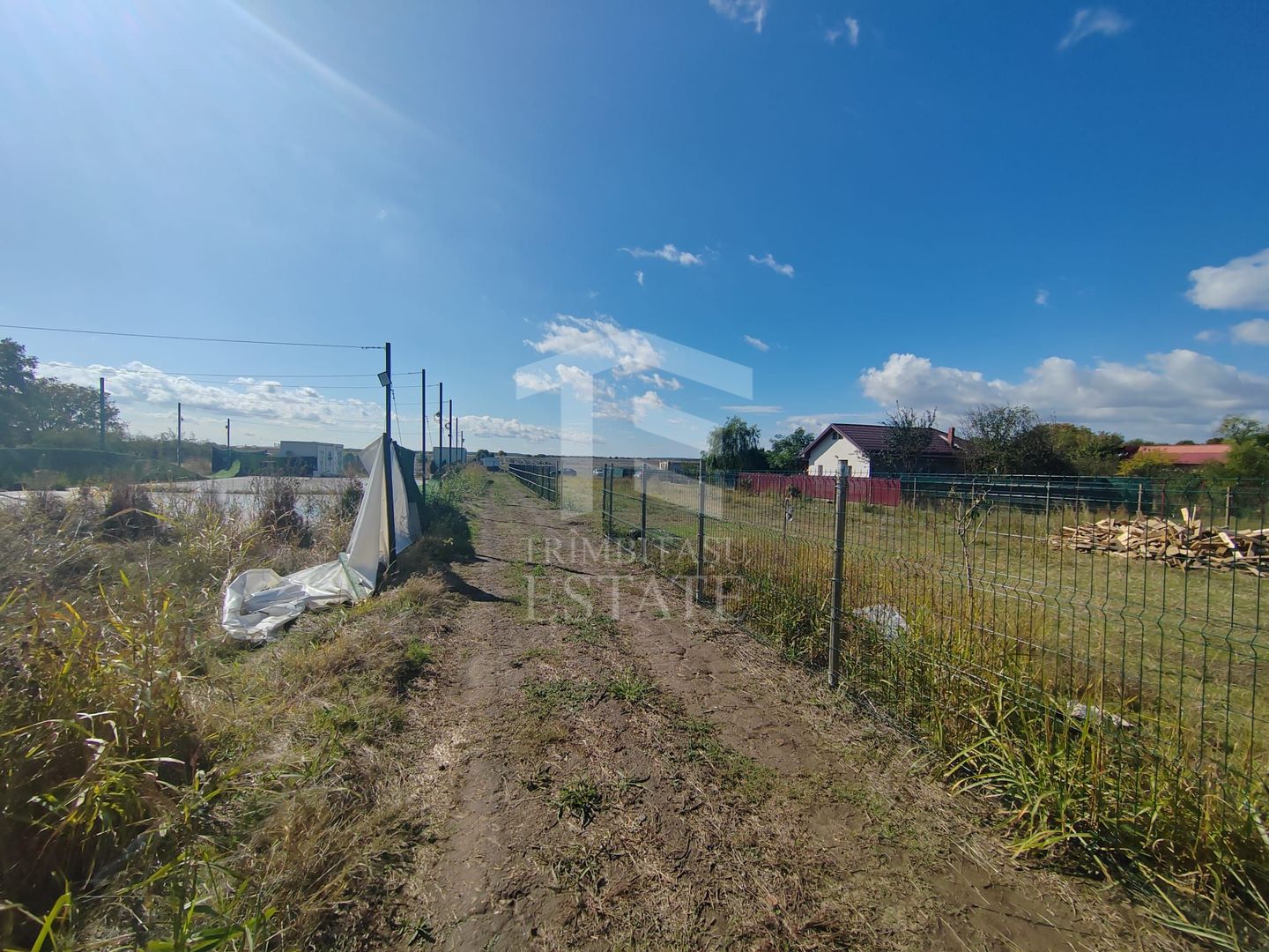 Gagu Dascalu teren ideal pentru investitie zona in dezvoltare - Poză 8