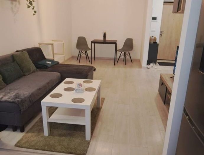 Apartament 2 camere, Hils Brauner, parcare inclusa, totul nou - Poză 8