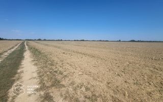 Teren Mosnita Noua, 11600 mp - Poză 1