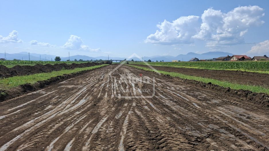 Teren Pretabil Investitie Harman - Poză 9