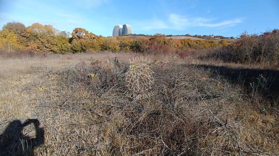 Teren intravilan 4500mp-oportunitate investitii-panoramic-Zona Wings - Poză 3