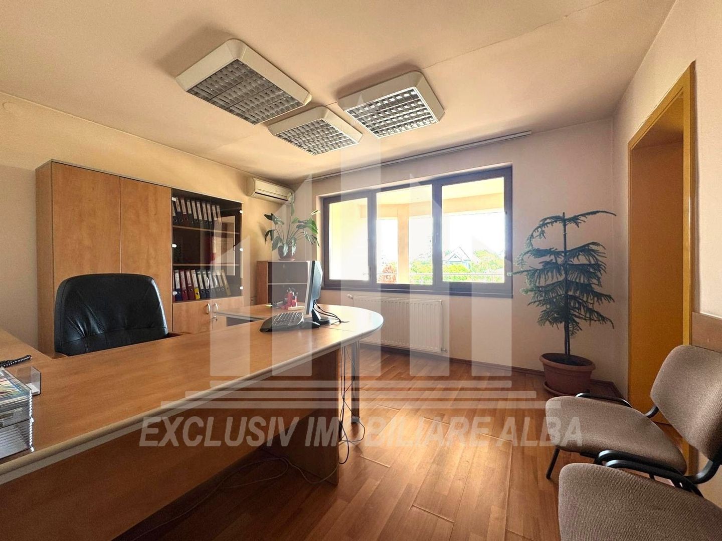 Spatiu de birouri P + 2E de vanzare, Cetate - Poză 3