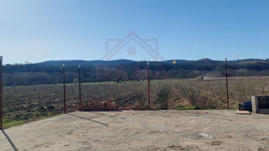 TEREN CU PLANTAȚIE DE TRANDAFIRI ,,ROSA DAMASCENA,\ \CARANSEBEȘ\JUD.CS - Poză 5