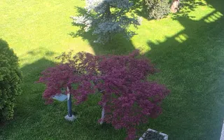 3 camere | Terasa vedere la piscina | Pipera | Școala Americanǎ - Poză 18