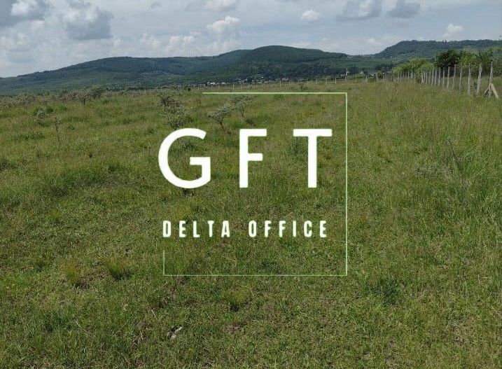 Teren 25700 mp (2,57 ha)-ideal investitie,cabana-Sesul Jelnei - Poză 2