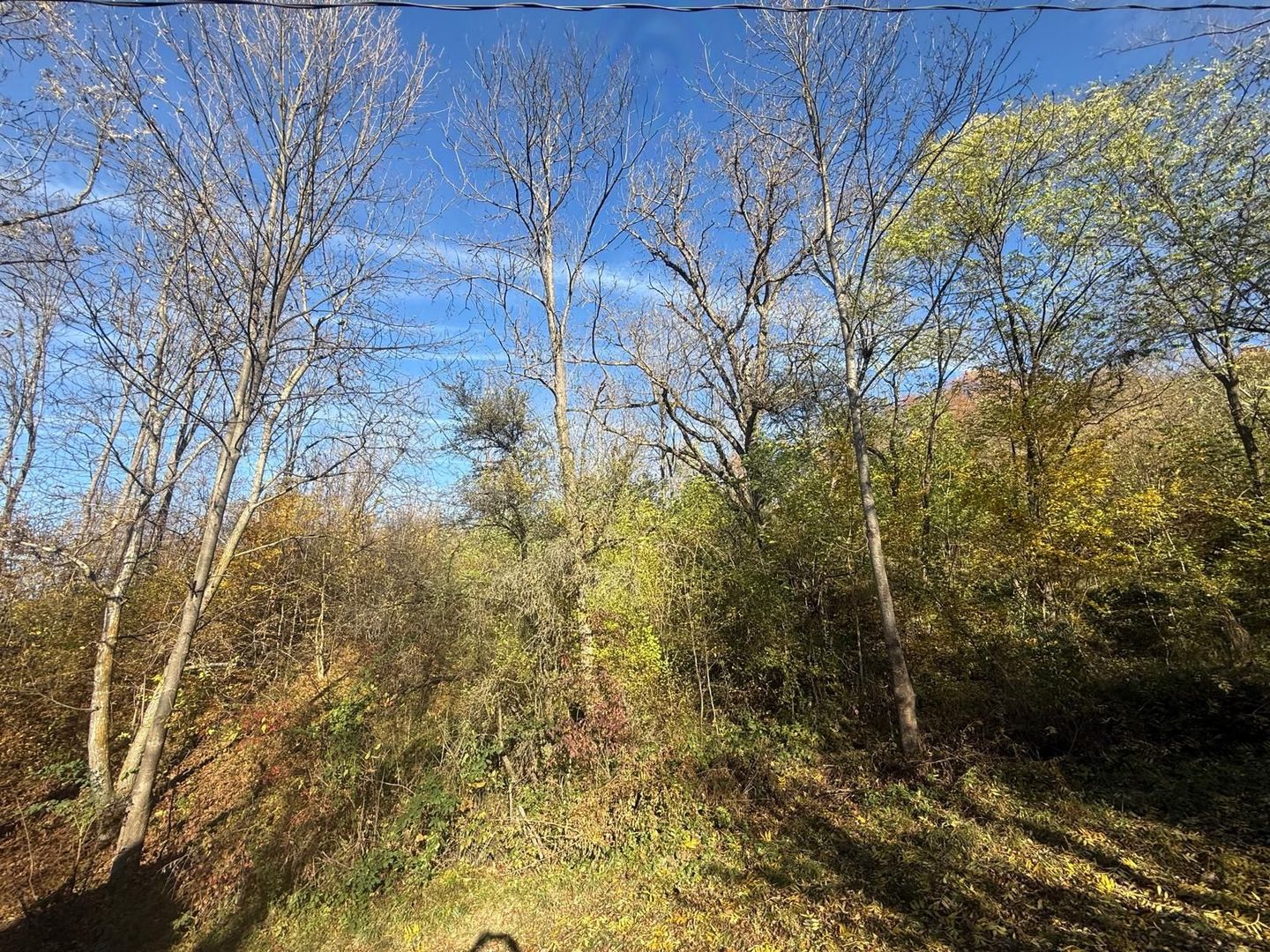 Teren langa pădure 6400mp+casa demolabila-deschidere 35 ml - Poză 11