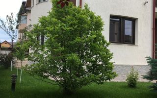 Bragadiru, vila individuala , 8 camere, piscina exterioara - Poză 8