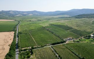 Vie Tradițională „Halta Lupilor” - Poză 28