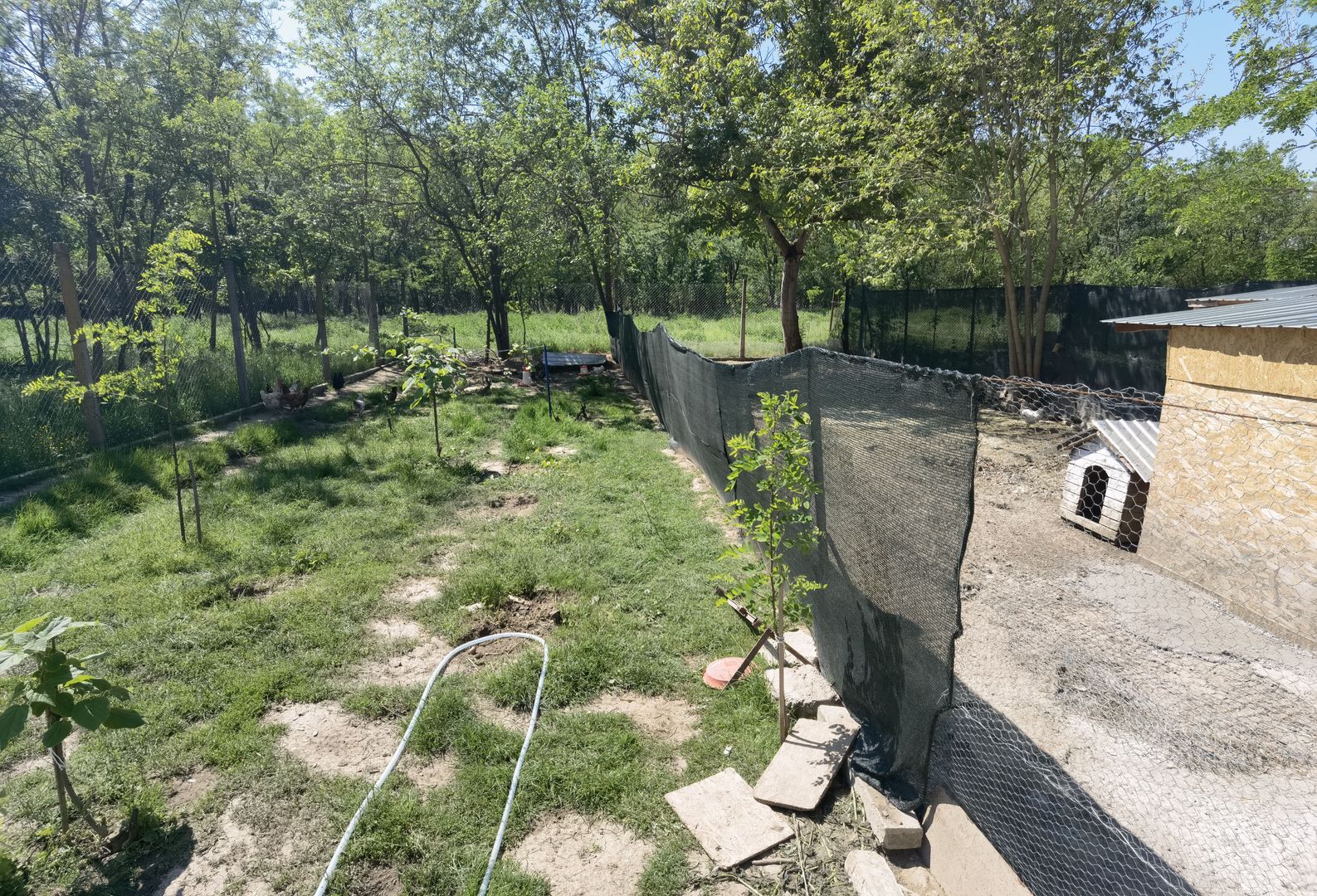 Casa Periam Port - Poză 17