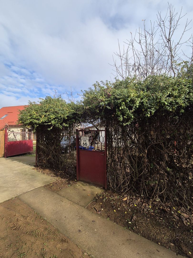 Casa Saftica/Balotesti/542 mp Teren - Poză 29