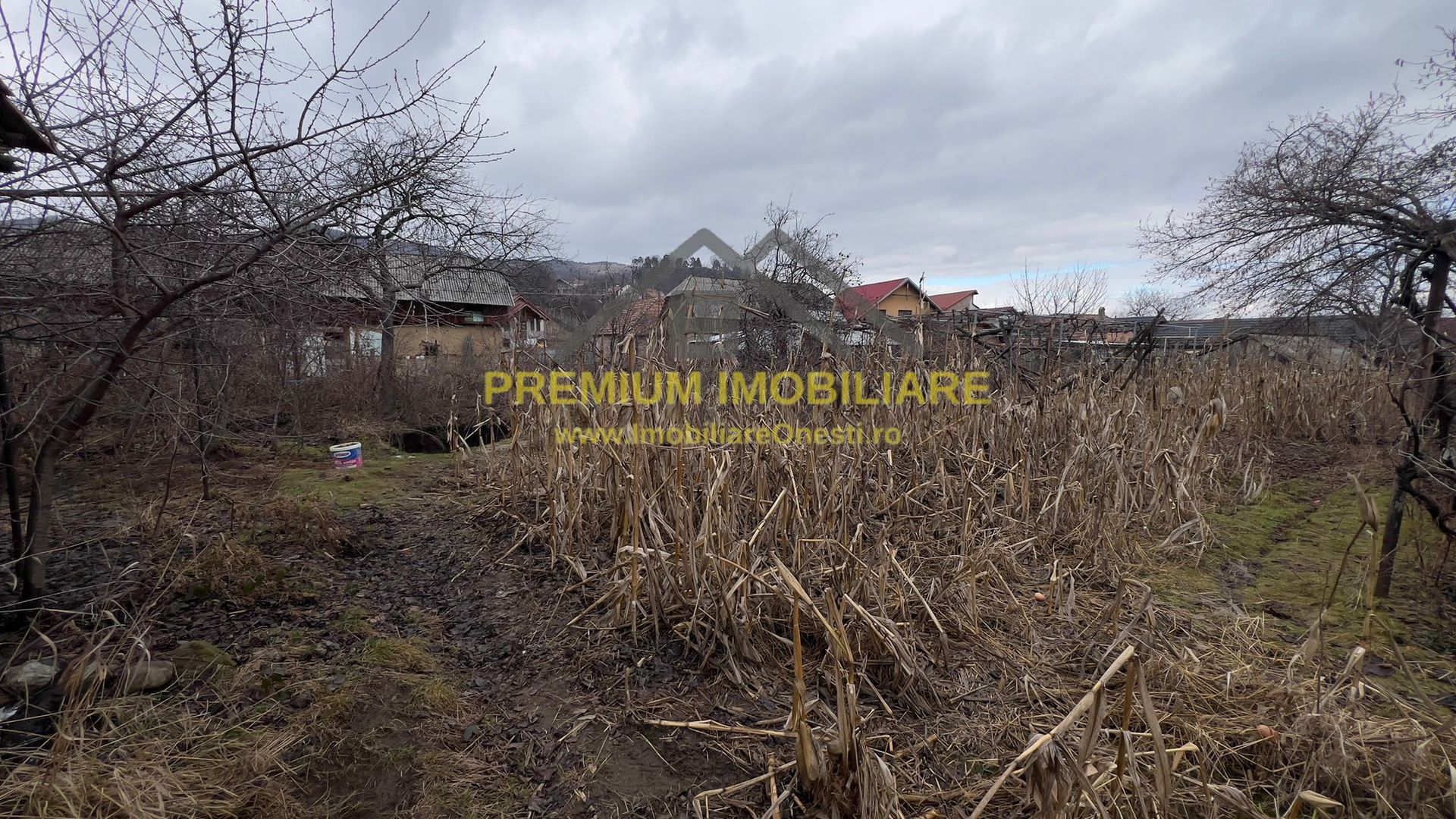 Teren intravilan de vânzare – zonă centrală, Oituz - Poză 3