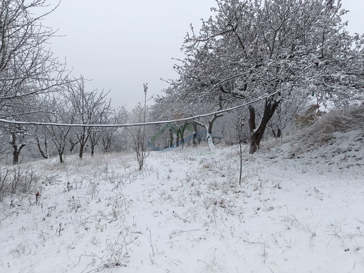 Teren de vanzare Adâncata - Poză 12