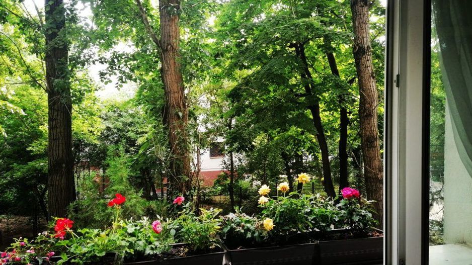 APARTAMENT BUCURESTII NOI | PAJURA - Poză 2