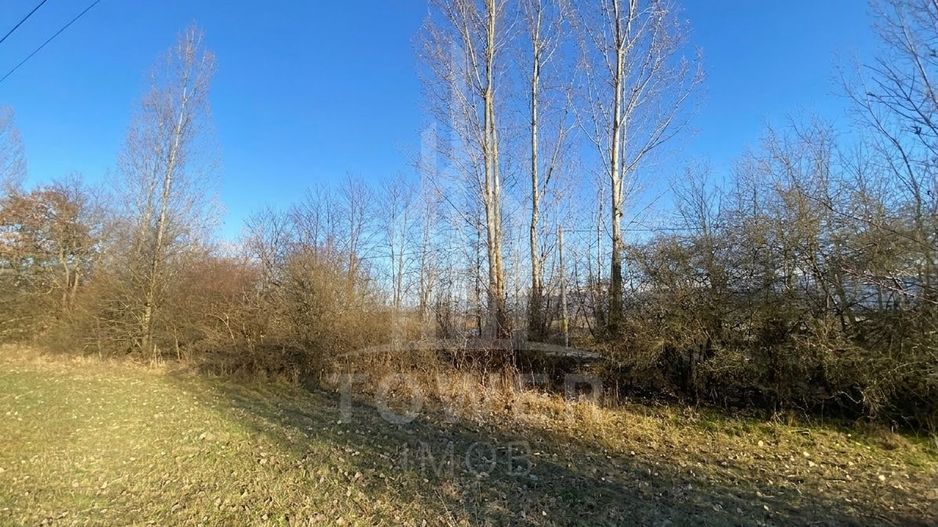 Teren de 7.500 mp de vânzare în Bradu, Avrig-COMISION 0% – lângă râul Olt. - Poză 9