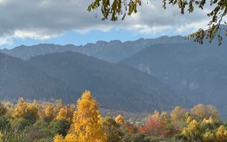 Teren Bran-Tohanita loturi intre 500/1000 mp - Poză 3